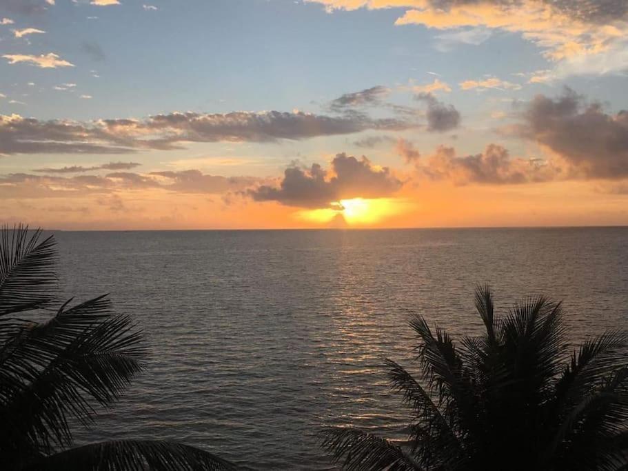 Punta Me Apartments With Nice Sea View & Beach カンクン エクステリア 写真